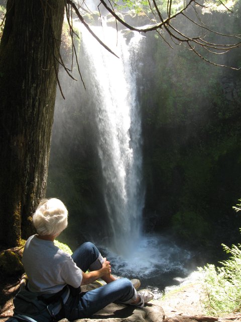 Paradise Creek-134.JPG - Falls Creek Falls